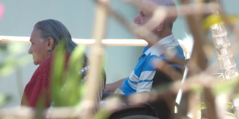 Atenção! 7 Dicas Cruciais do INSS para Evitar Golpes e Proteger Seus Dados em 2025