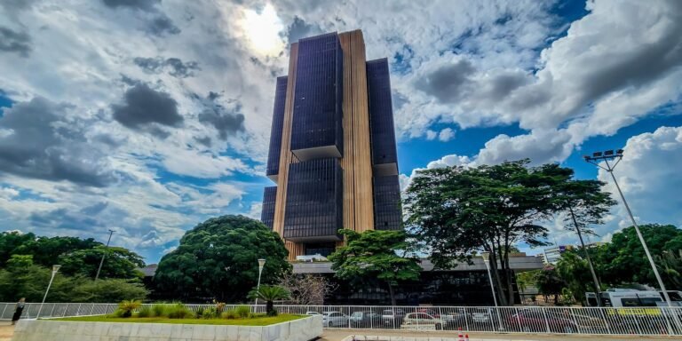 Inflacionamento em alta: como se preparar para as projeções financeiras do Brasil em 2025!