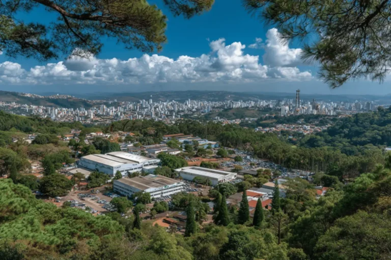 Onde fica a fábrica da Malwee? Descubra curiosidades surpreendentes!