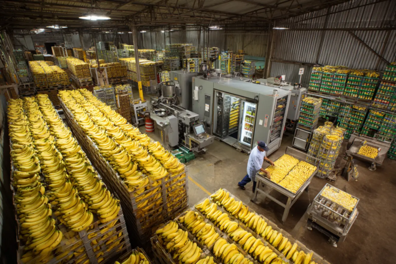 Operador verificando bandejas de banana desidratada em um forno industrial para producao de banana desidratada