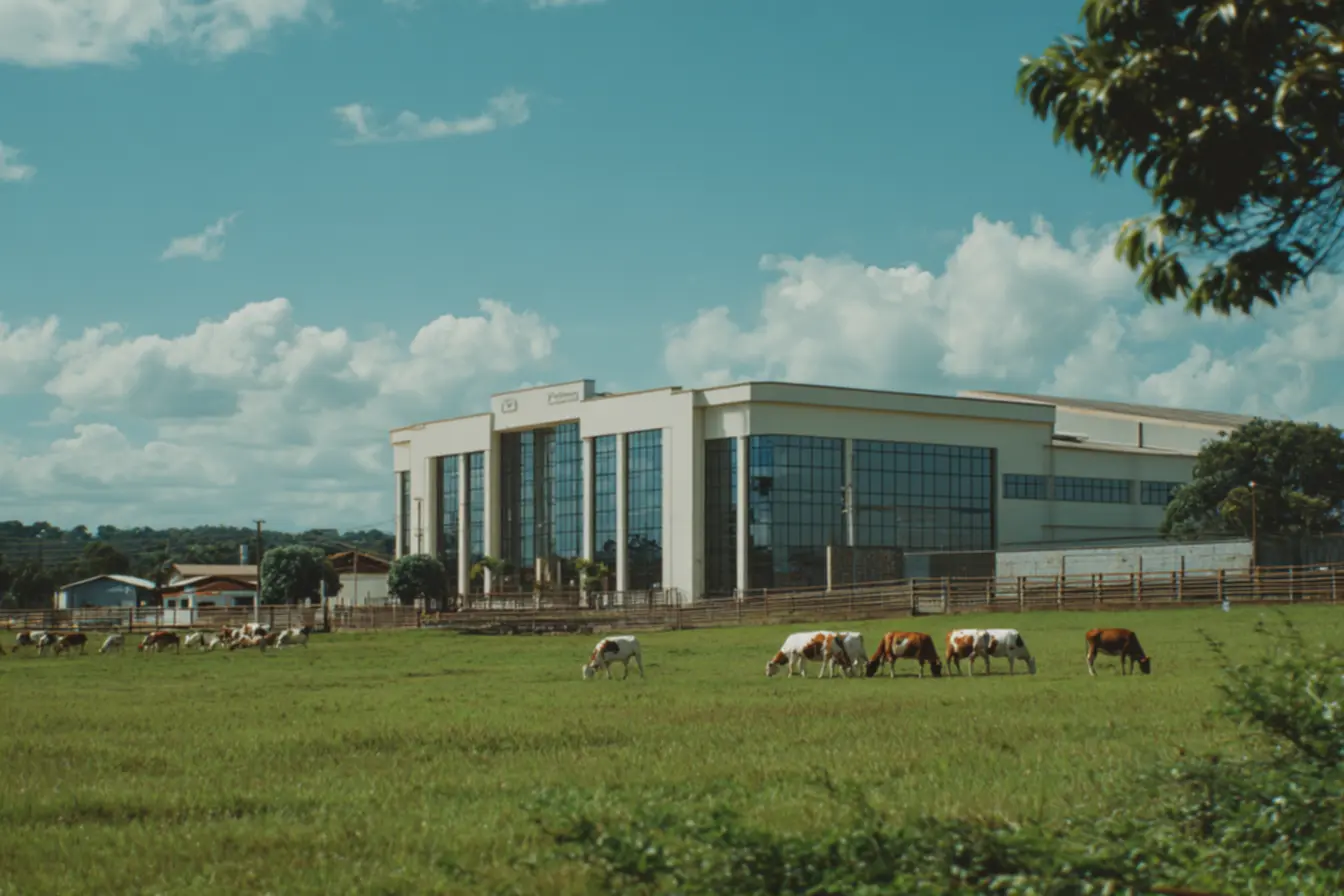 Embalagens diversas de produtos Piracanjuba, mostrando a variedade do portfólio da empresa e onde fica a fabrica da piracanjuba.