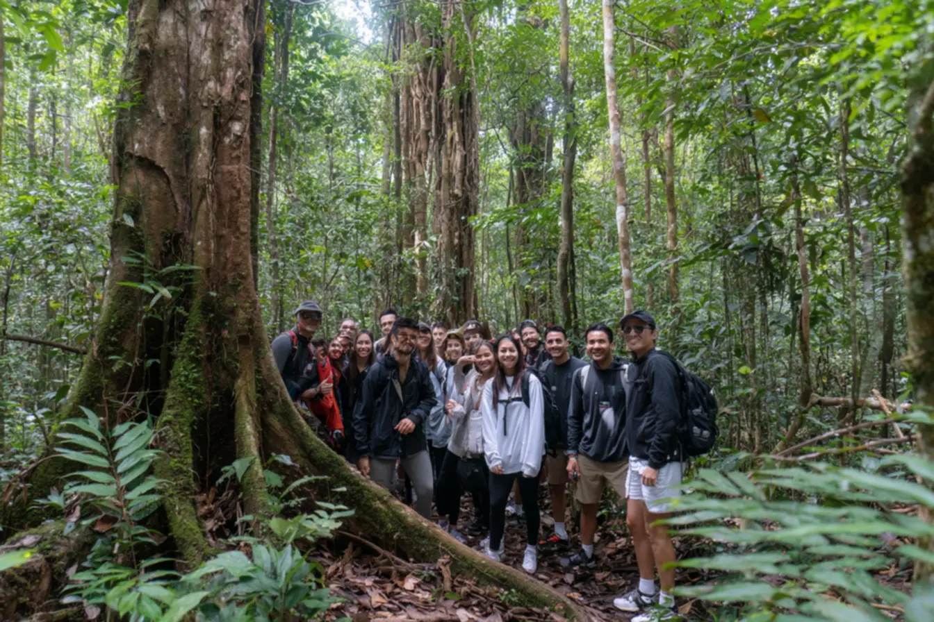 Como abrir uma agência de ecoturismo e conquistar o mercado verde