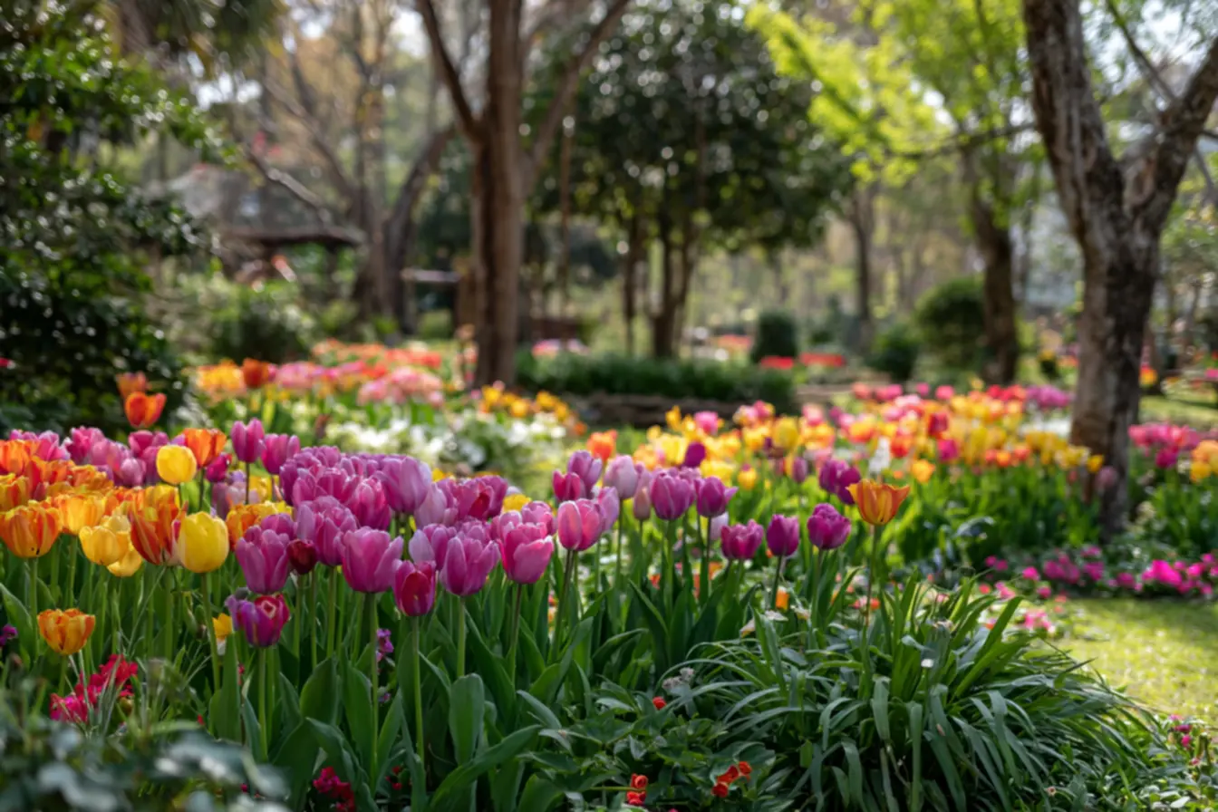 Como cuidar flor primavera