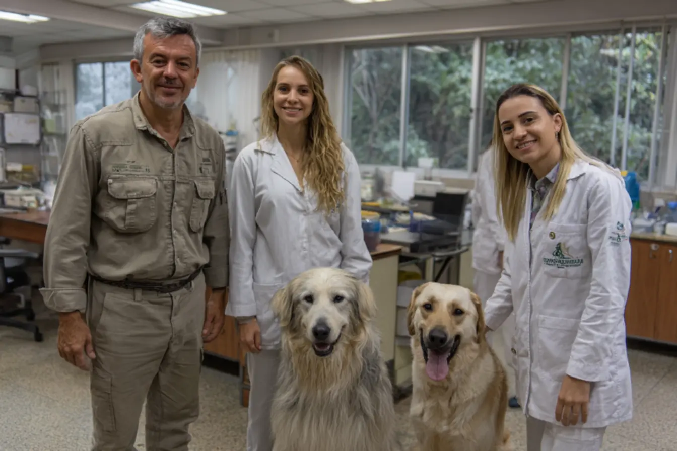 Oportunidade de concursão em Petrolândia